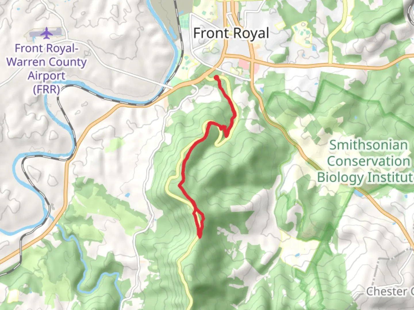 An image depicting the trail Dickey Ridge Trail - Short from Skyline Drive and its surrounding area.