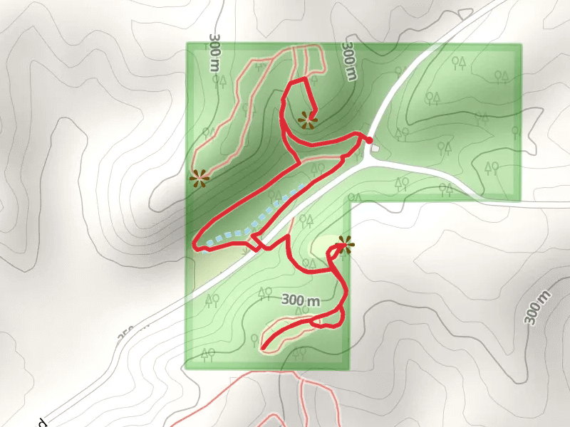 Loop around Reeve Road