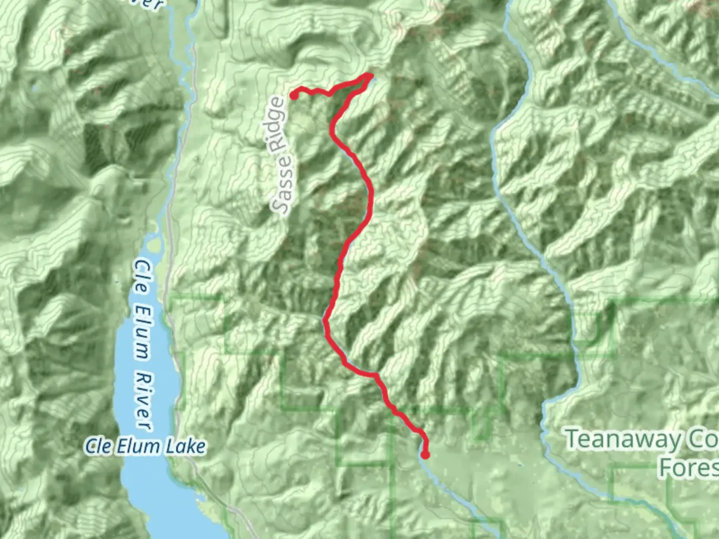 An image depicting the trail Sasse Mountain and West Fork Teanaway Trail and its surrounding area.