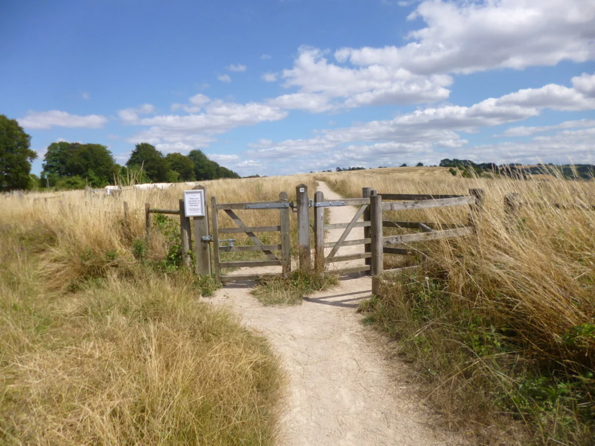 Winchester and Avington Loop via Kingham Lake