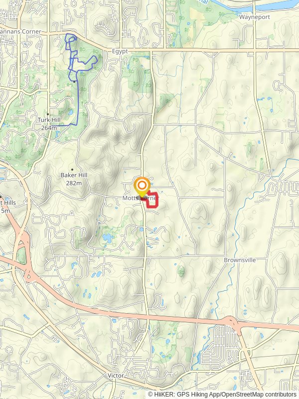 MaryFrances Bluebird Haven Loop Trail