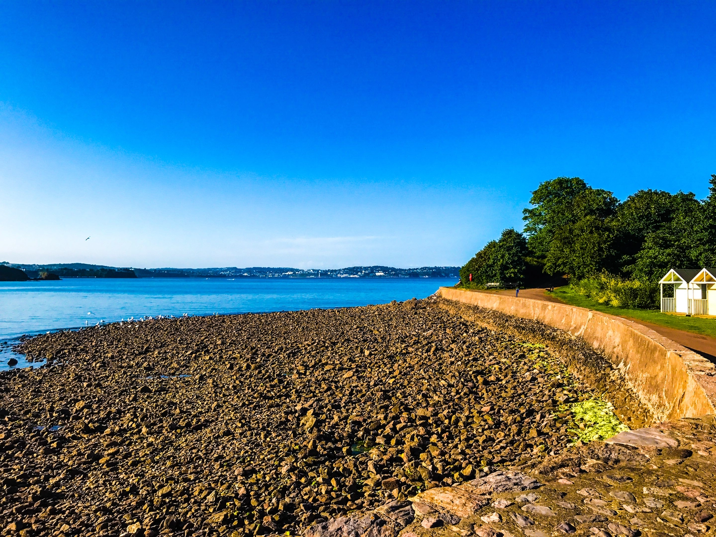 An image depicting the trail Bay Esplanade Hotel - Paignton to Brixham Walk and its surrounding area.