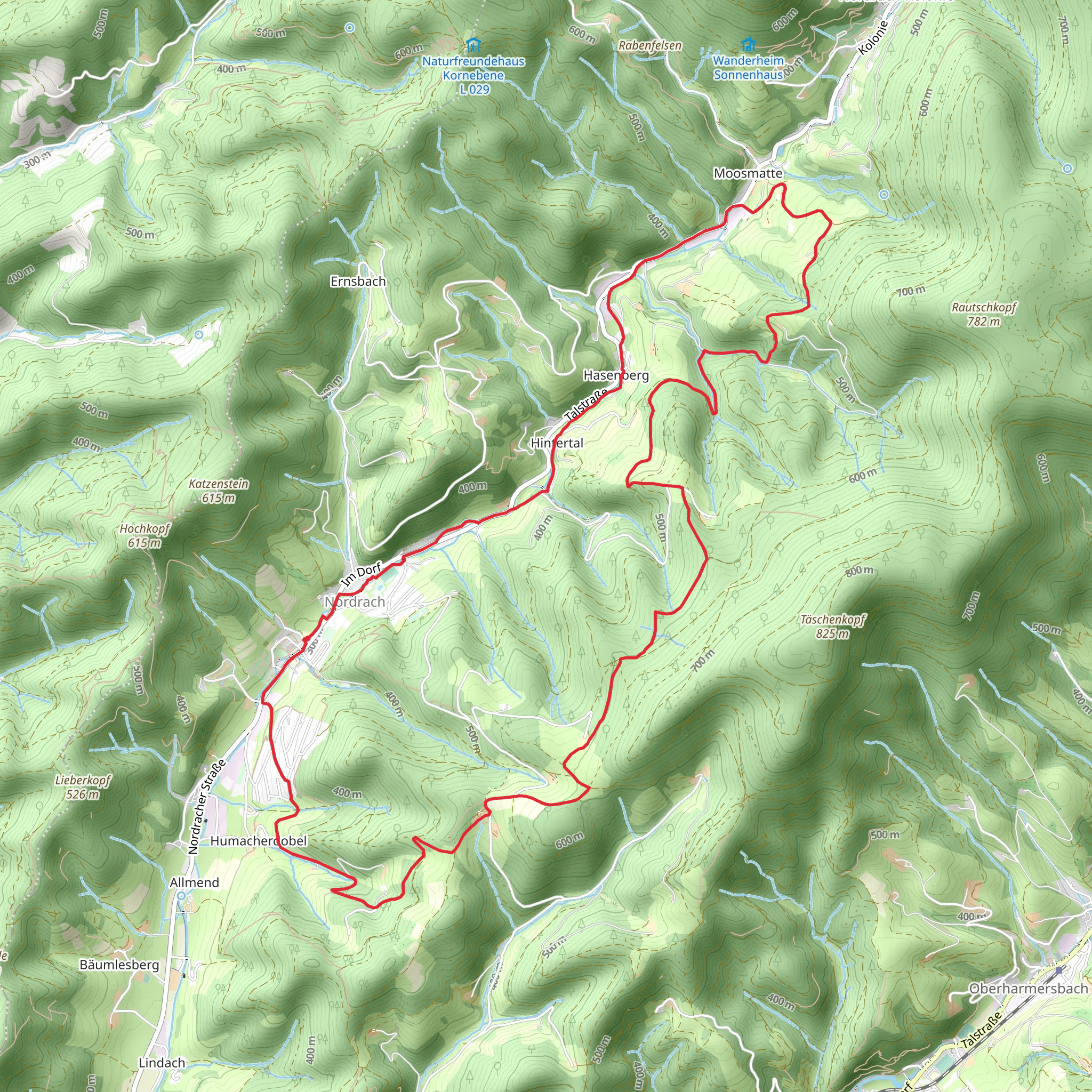 Nordrach and Moosmatte Loop mobile static map