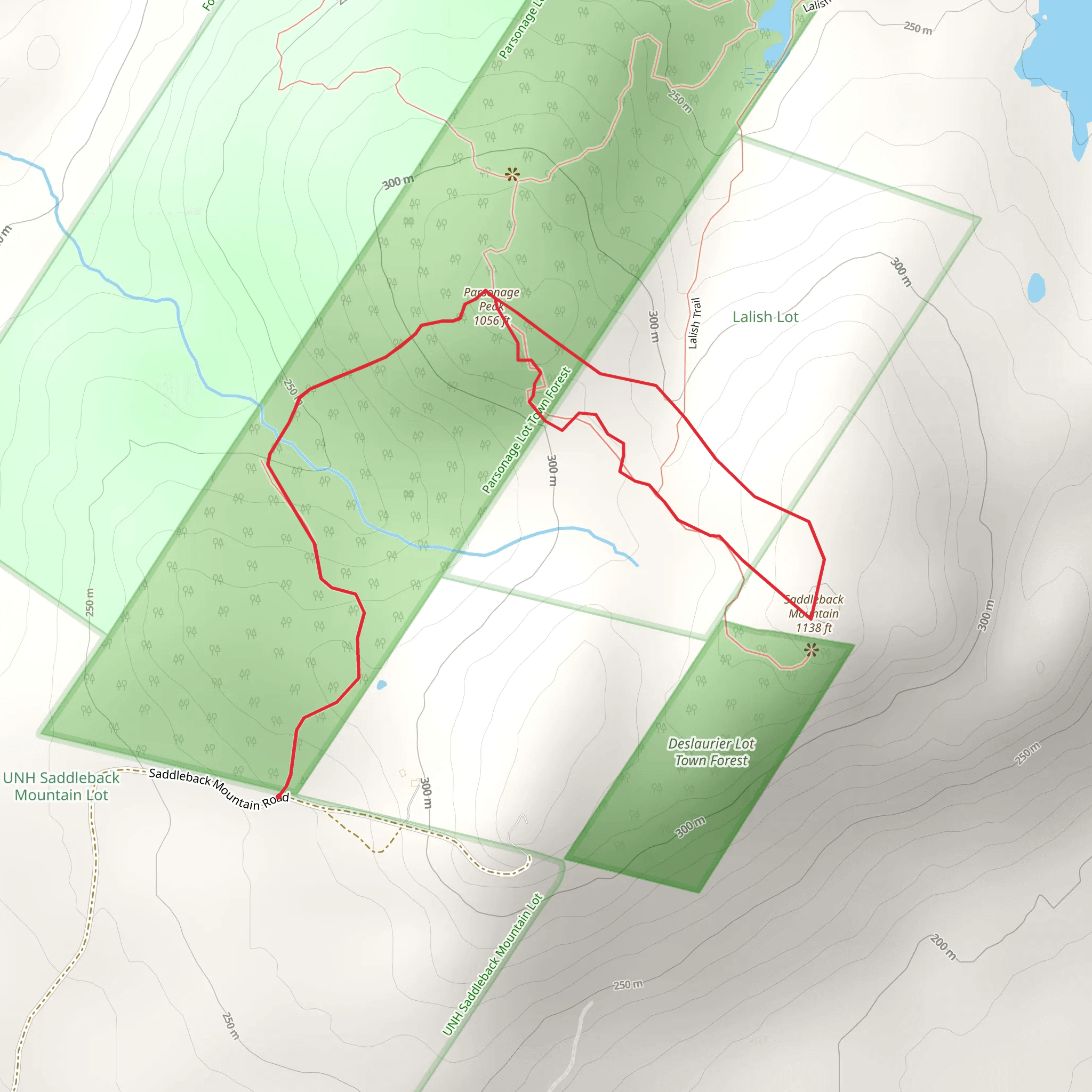 Parsonage Peak and Saddleback Mountain Loop mobile static map