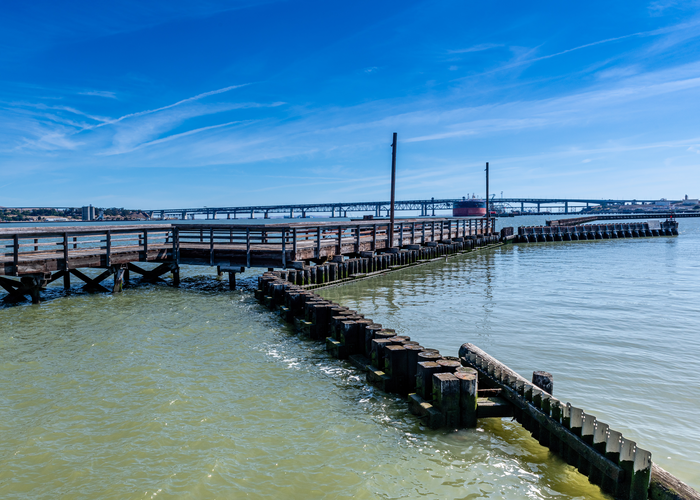 Grangers Wharf Trail and Pickleweed Loop Trail