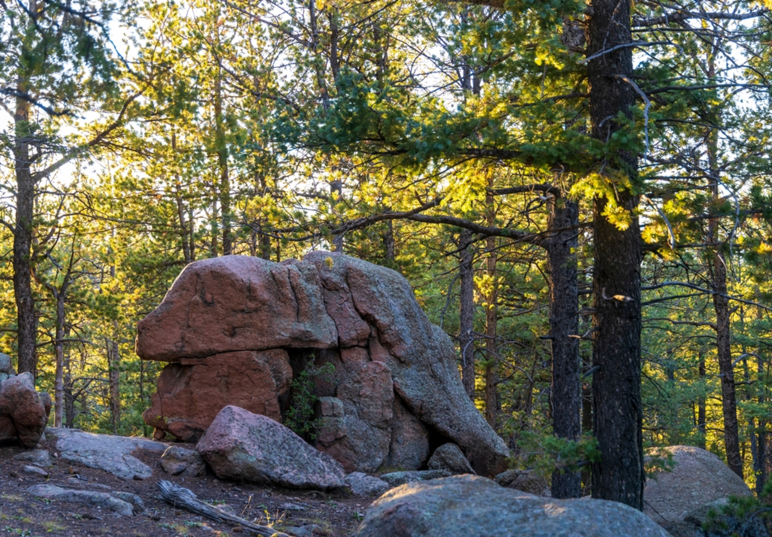An image depicting the trail Devil's Head Trail and its surrounding area.