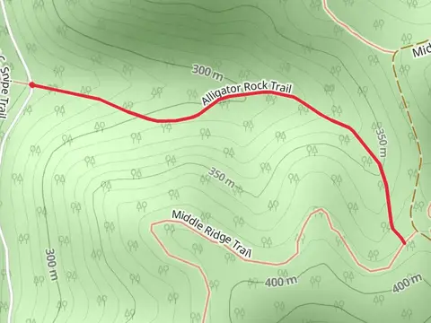 Alligator Rock Trail