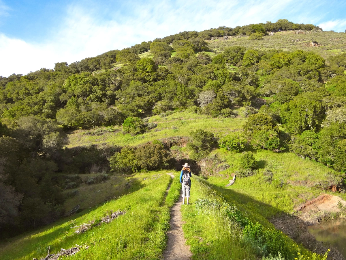Buckeye and Skyline Loop Trail