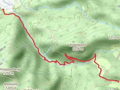 Alplbach and Brachtalm via Wanderweg