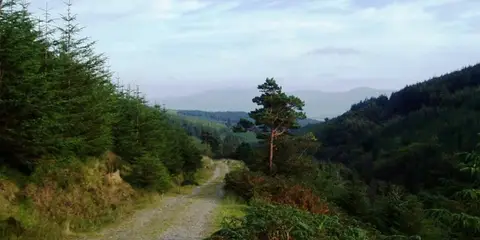 An image depicting the trail Galtymore via Glangarra Wood and its surrounding area.