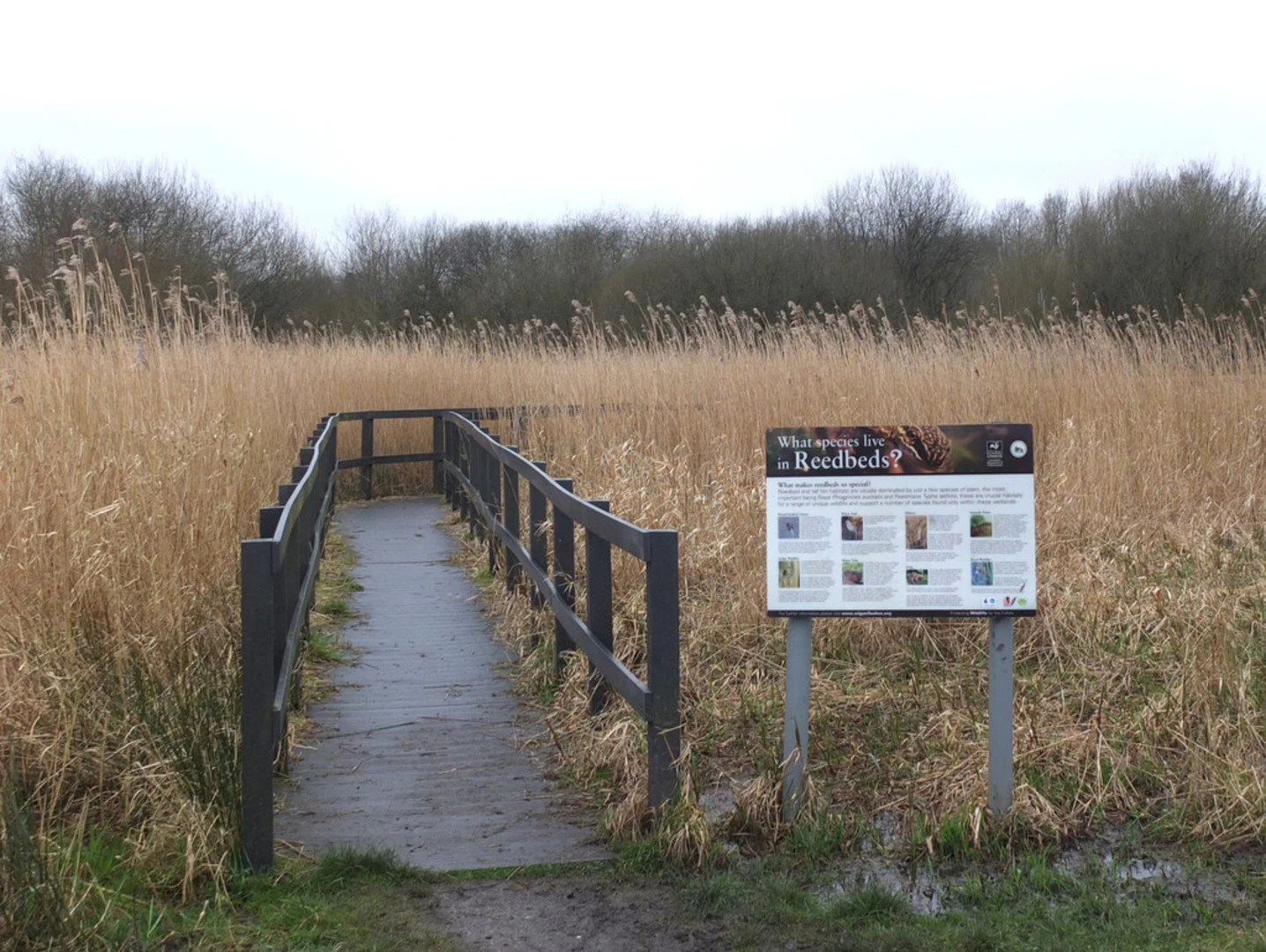An image depicting the trail Wigan Circular Walk and its surrounding area.