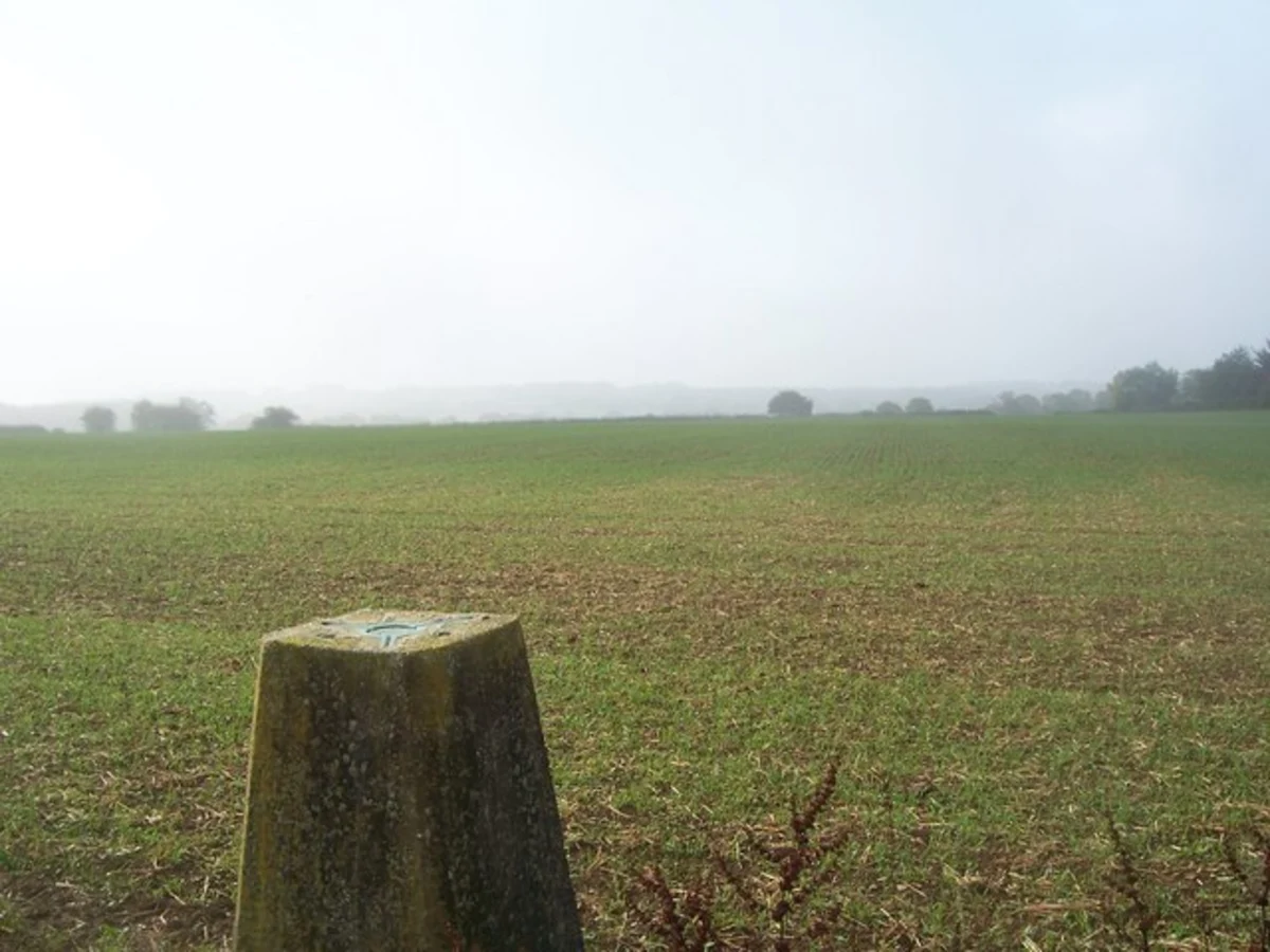 Liss, Warren Corner and Steep Loop