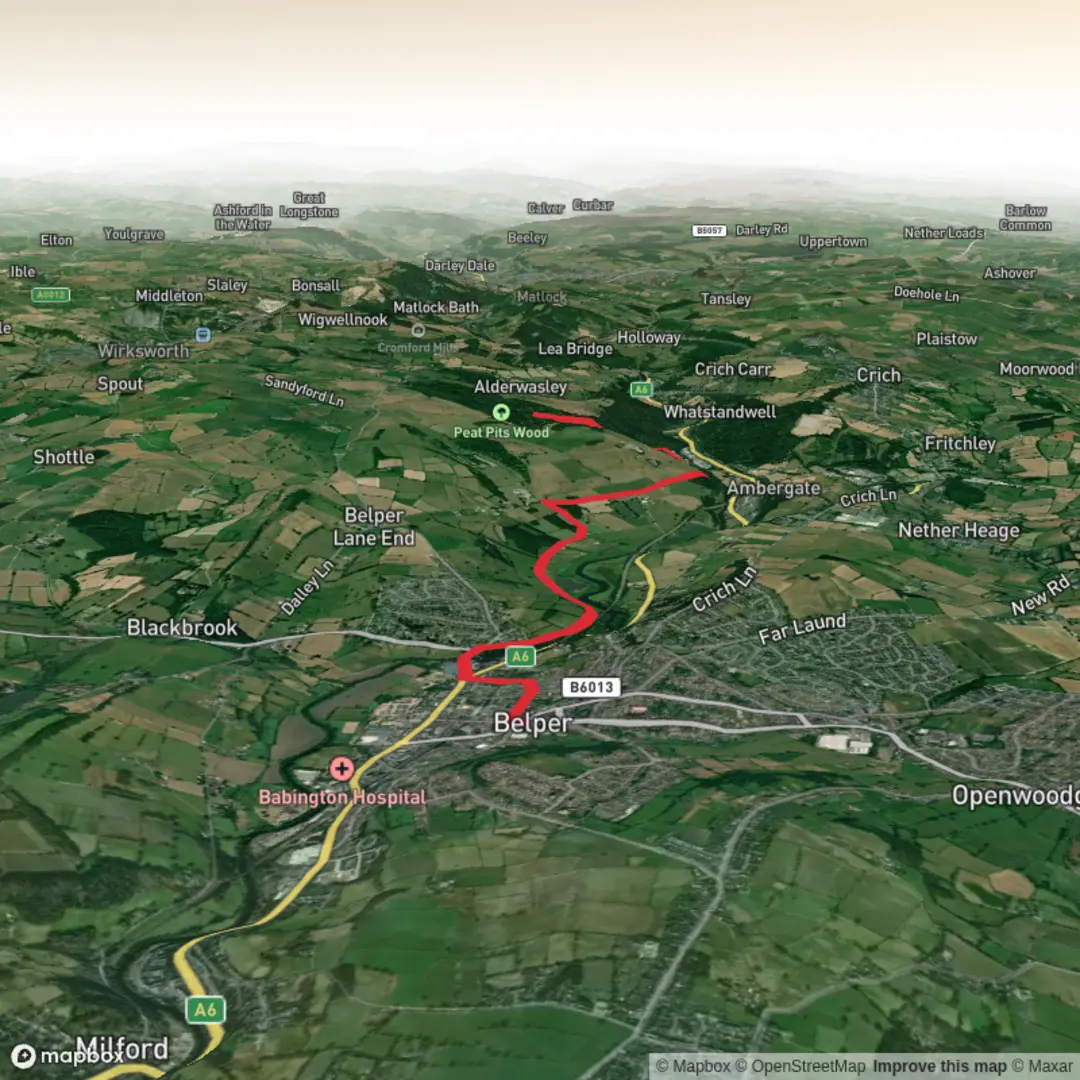 An image depicting the trail Coppice wood and The Birches and its surrounding area.