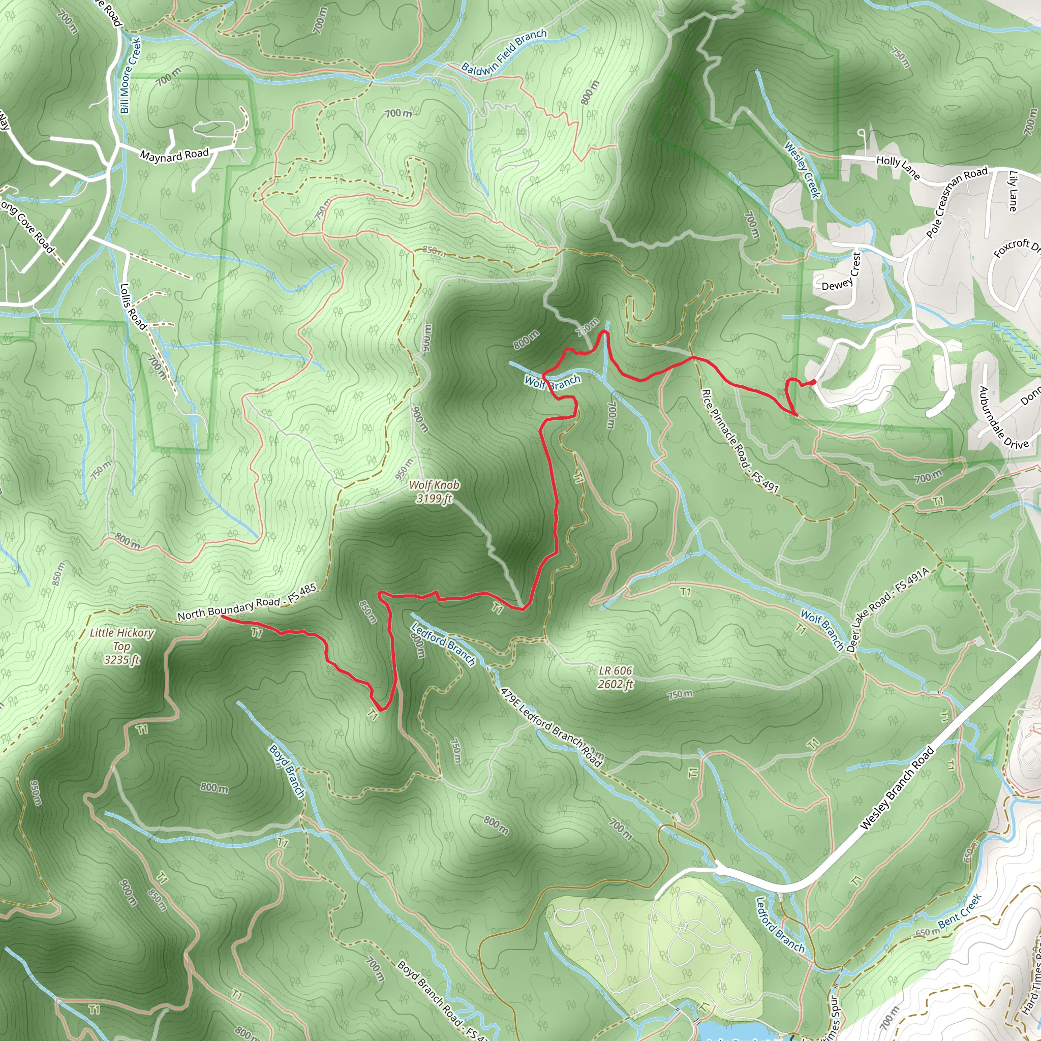 Ingles Field Gap Trail via Corvair Trail mobile static map