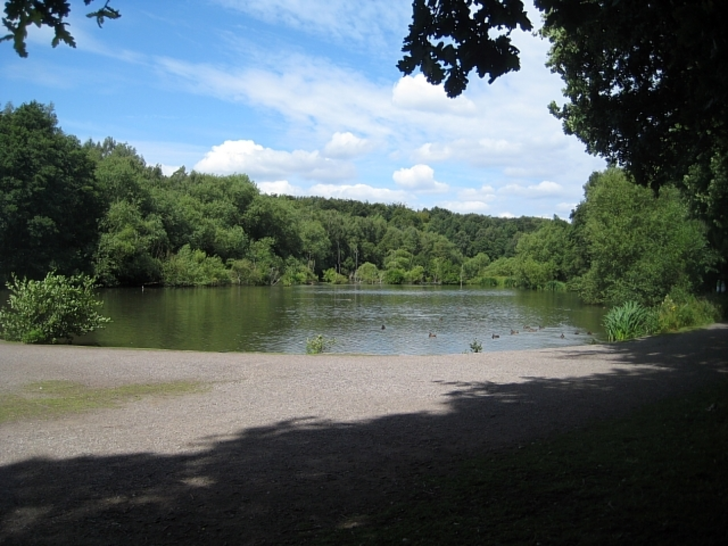 An image depicting the trail Newmillerdam Country Park Loop and its surrounding area.