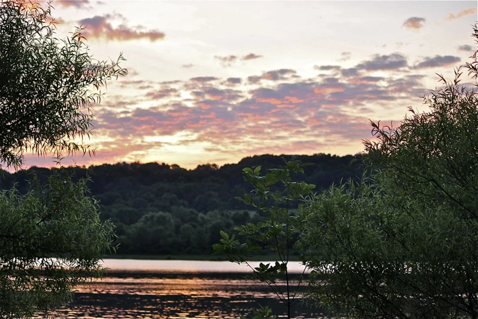 An image depicting the trail North Branch Neshaminy Creek and Peace Valley Park Loop and its surrounding area.
