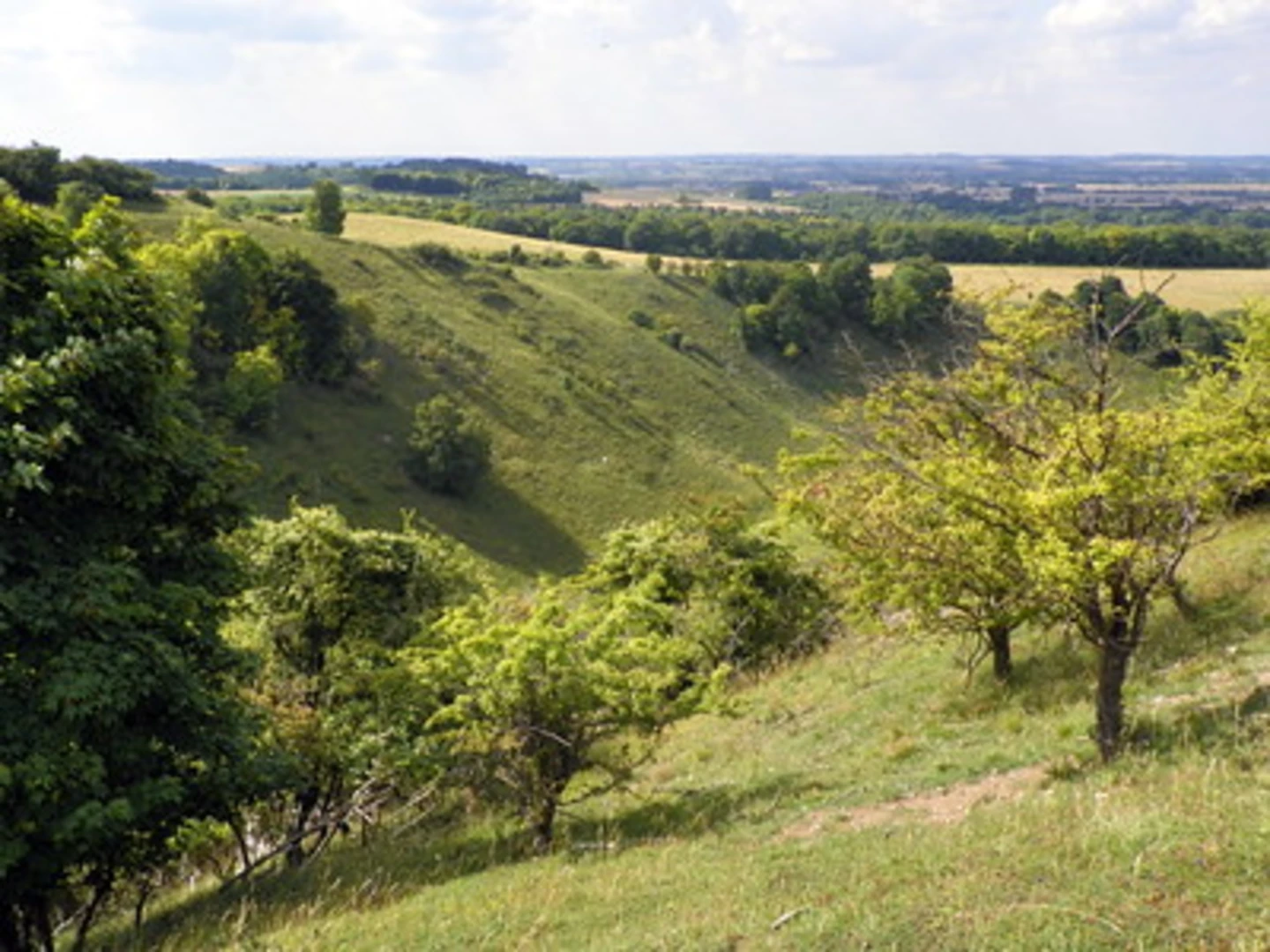 An image depicting the trail Pegsdon Hills Loop and its surrounding area.