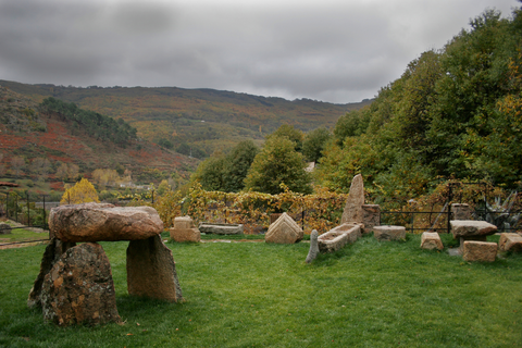 Baños Swamp PR CC 40