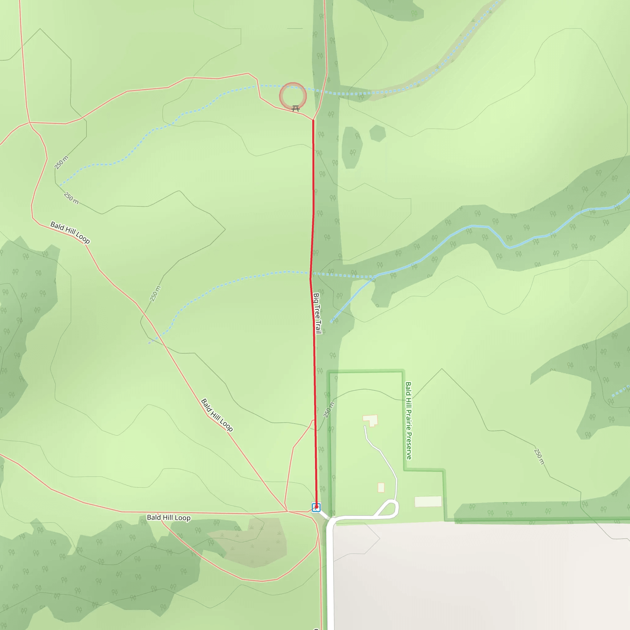 Big Tree Trail mobile static map