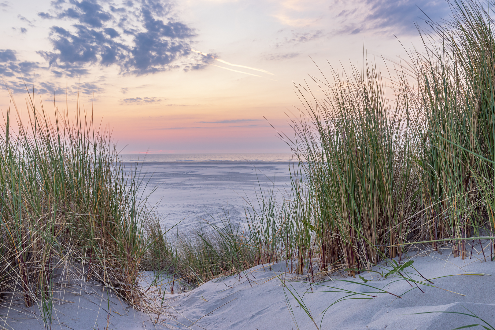 An image depicting the trail Hoornsebos, Bunkerdune and Tordunen Loop and its surrounding area.
