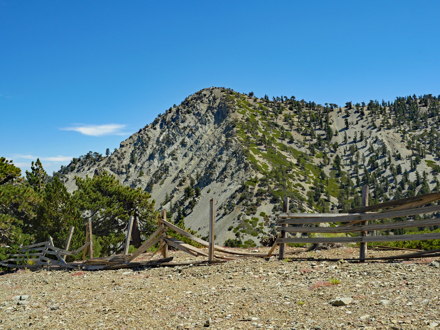 An image depicting the trail Telegraph Peak and Timber Mountain via Icehouse Canyon Trail and its surrounding area.