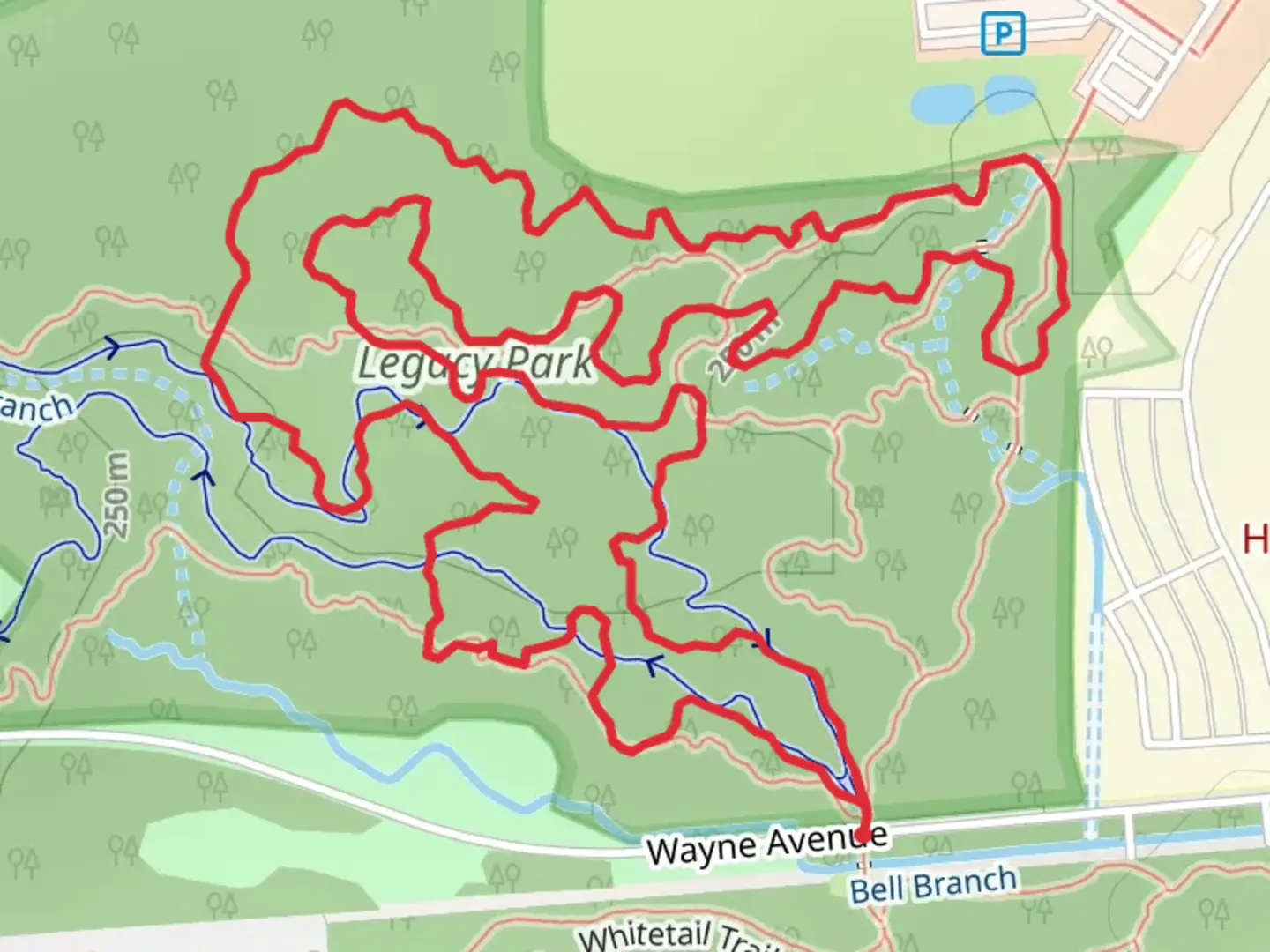 An image depicting the trail Bell Branch Loop and its surrounding area.