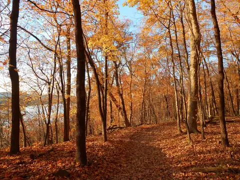 Pere Marquette Trail