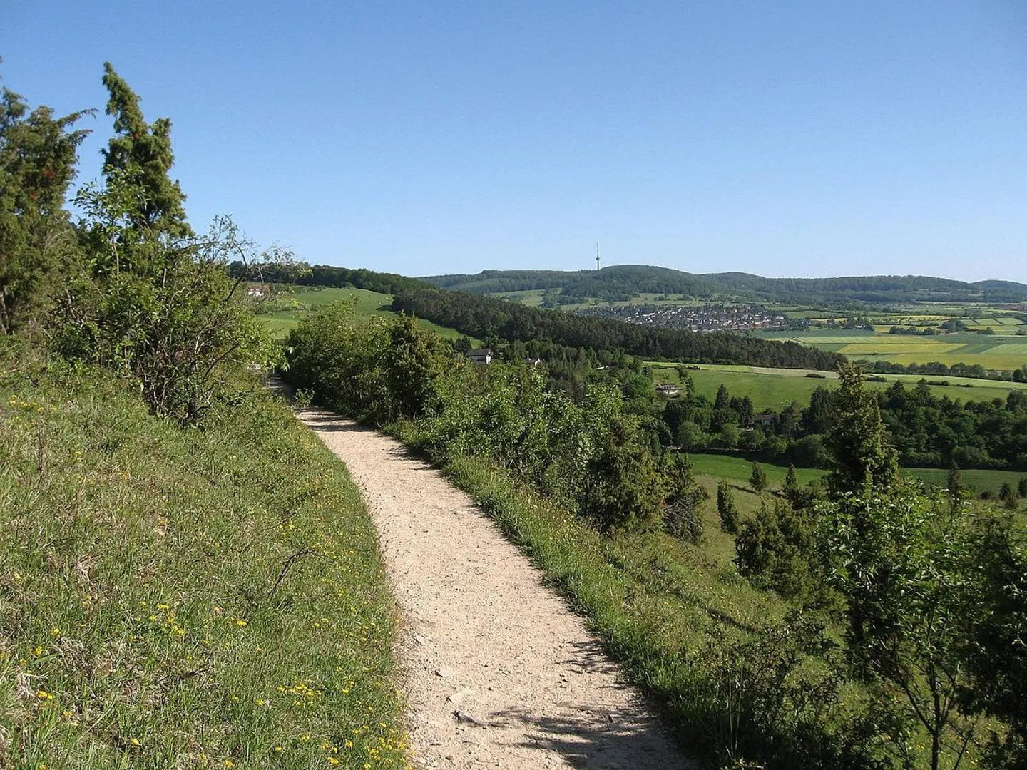 An image depicting the trail Ganz Oben Loop and its surrounding area.