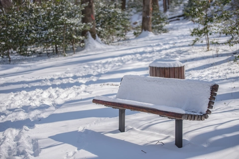 Washington and Old Dominion Trail