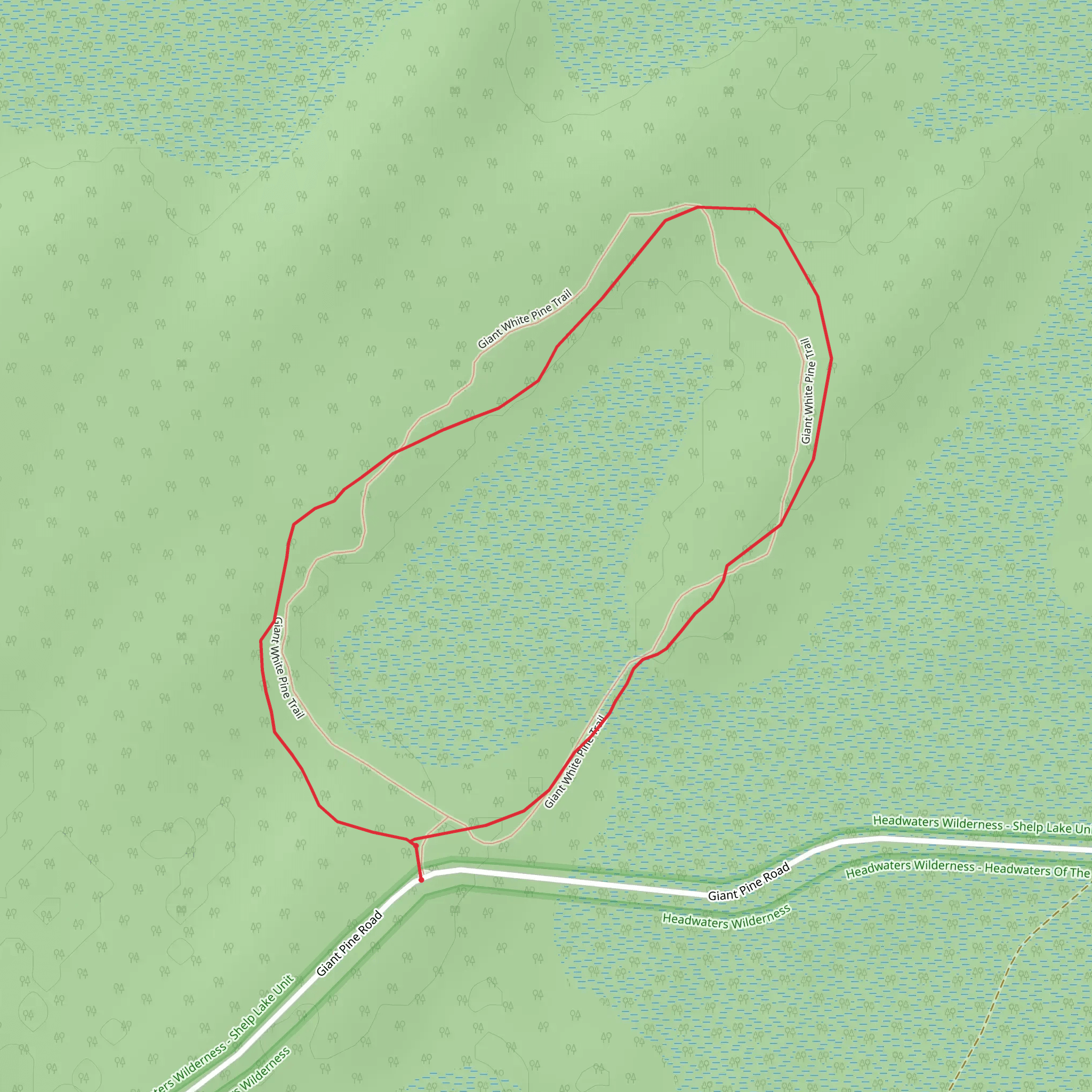 Giant Pine Trail mobile static map