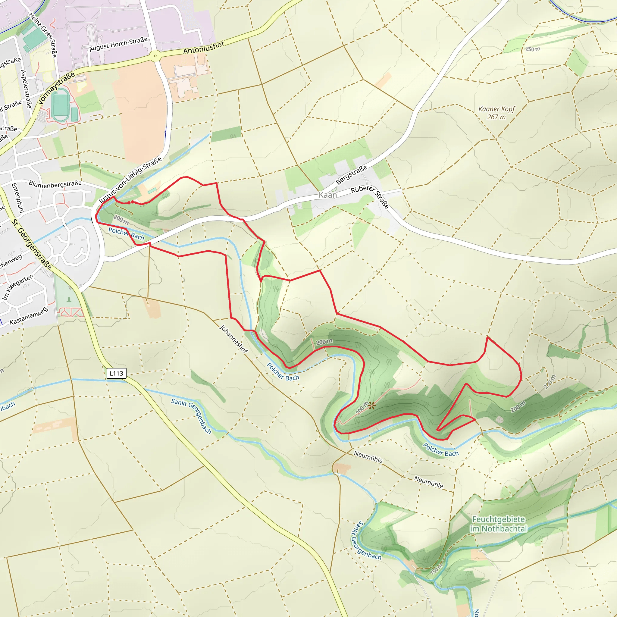 Polcher Bach Streamside Loop - Polch mobile static map
