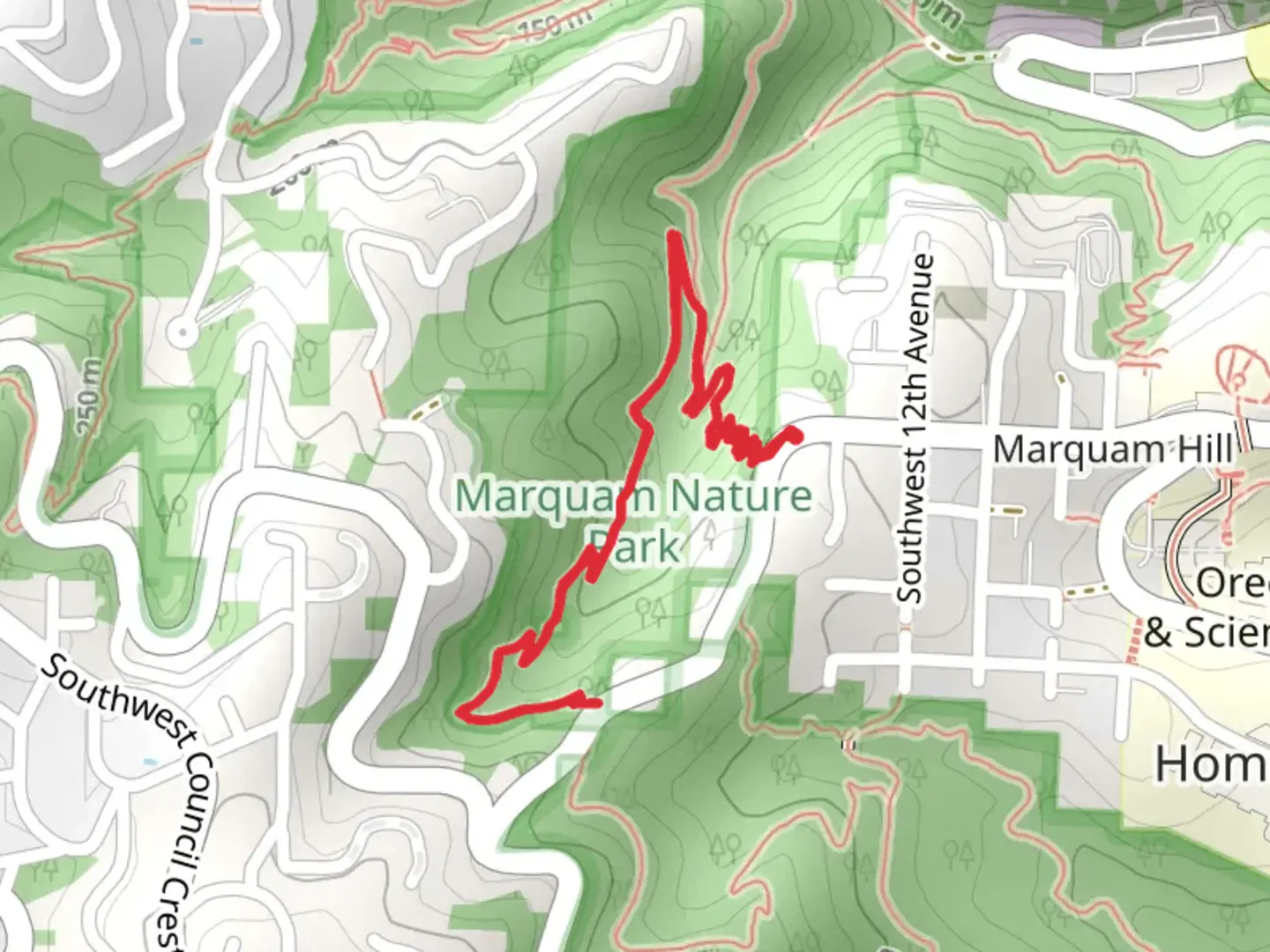 An image depicting the trail Marquam Hill and Towhee Trail and its surrounding area.