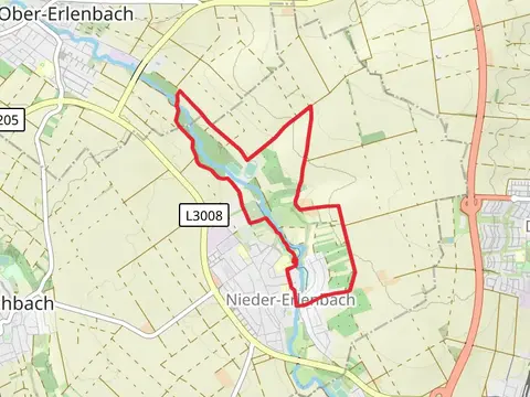 Nieder-Erlenbach Loop