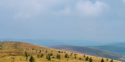 An image depicting the trail Ballinafunshoge - Mountain Access Trail and its surrounding area.