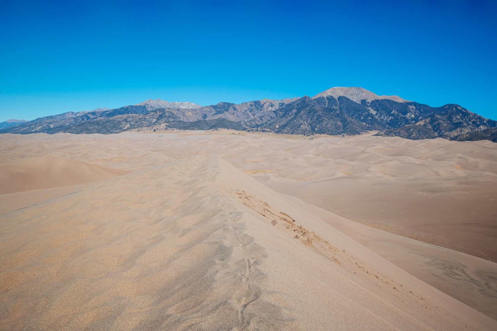 An image depicting the trail Dunes Overlook Trail and its surrounding area.