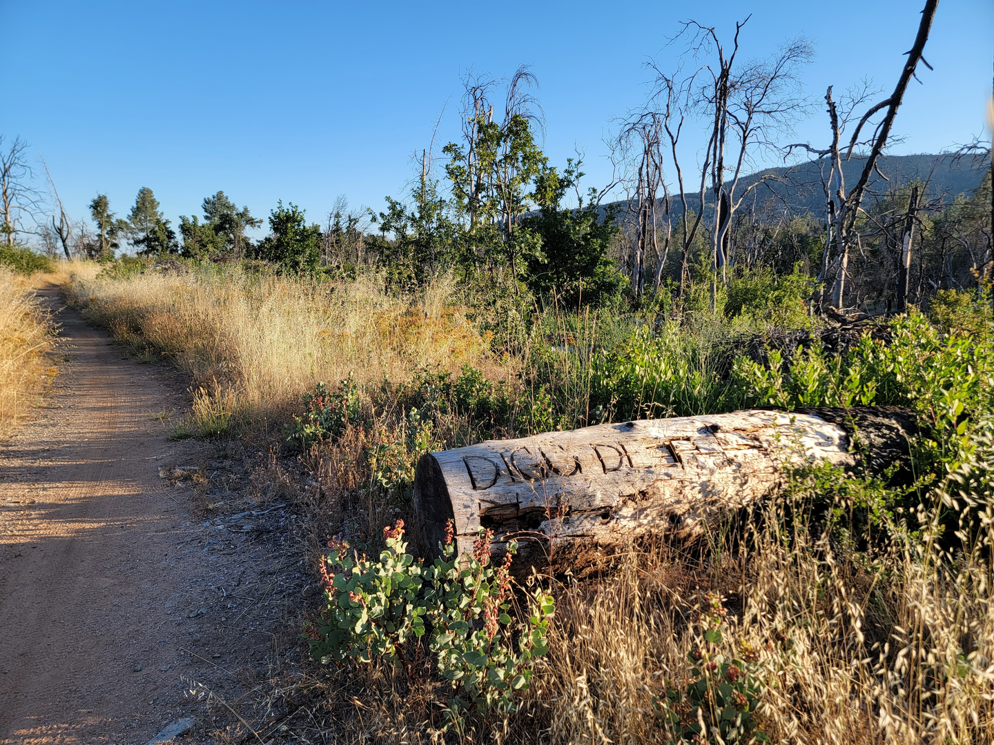 An image depicting the trail Escalator - Meiner's Loop and its surrounding area.
