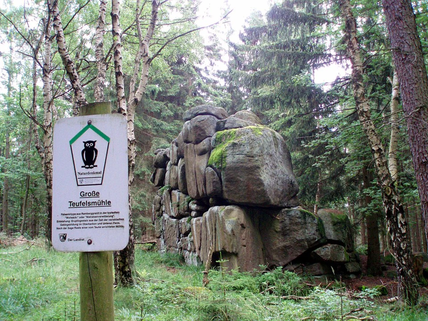 An image depicting the trail Kohlberg, Ruine Rothenberger and Teufelsmuhle Loop and its surrounding area.
