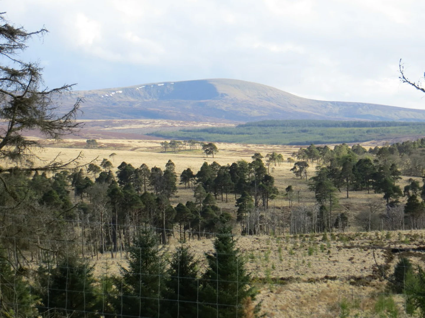 An image depicting the trail Seefingan Loop and its surrounding area.
