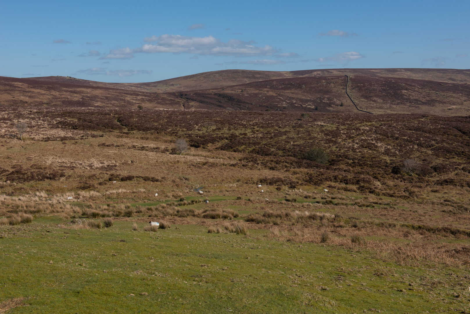 An image depicting the trail Stiles Nun's Cross and its surrounding area.