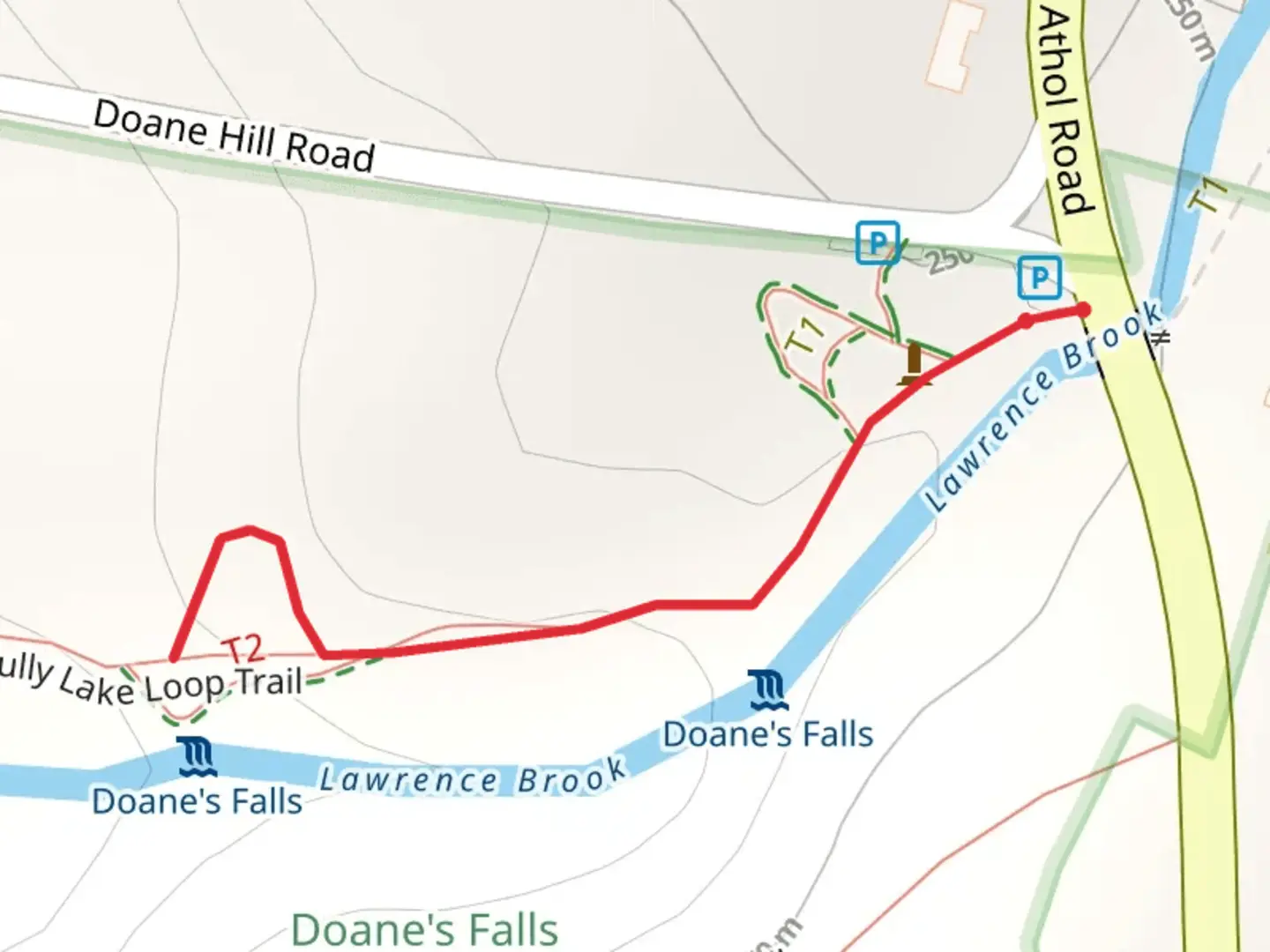 An image depicting the trail Lawrence Brook Out and Back and its surrounding area.