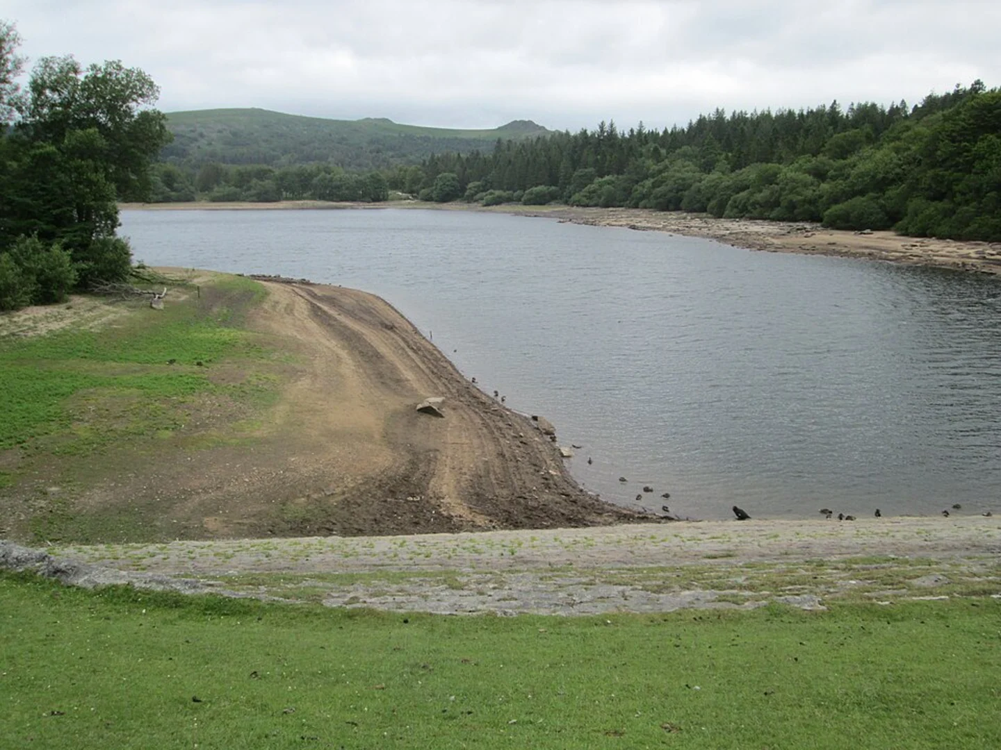 An image depicting the trail Burrator Reservoir to Princetown Walk via King's Tor and its surrounding area.