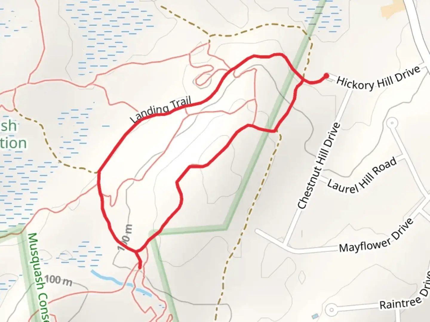 An image depicting the trail Deer and Landing Loop Trail and its surrounding area.