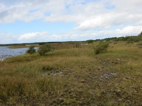 Lough O'Flynn - Wild Goose Bog Loop