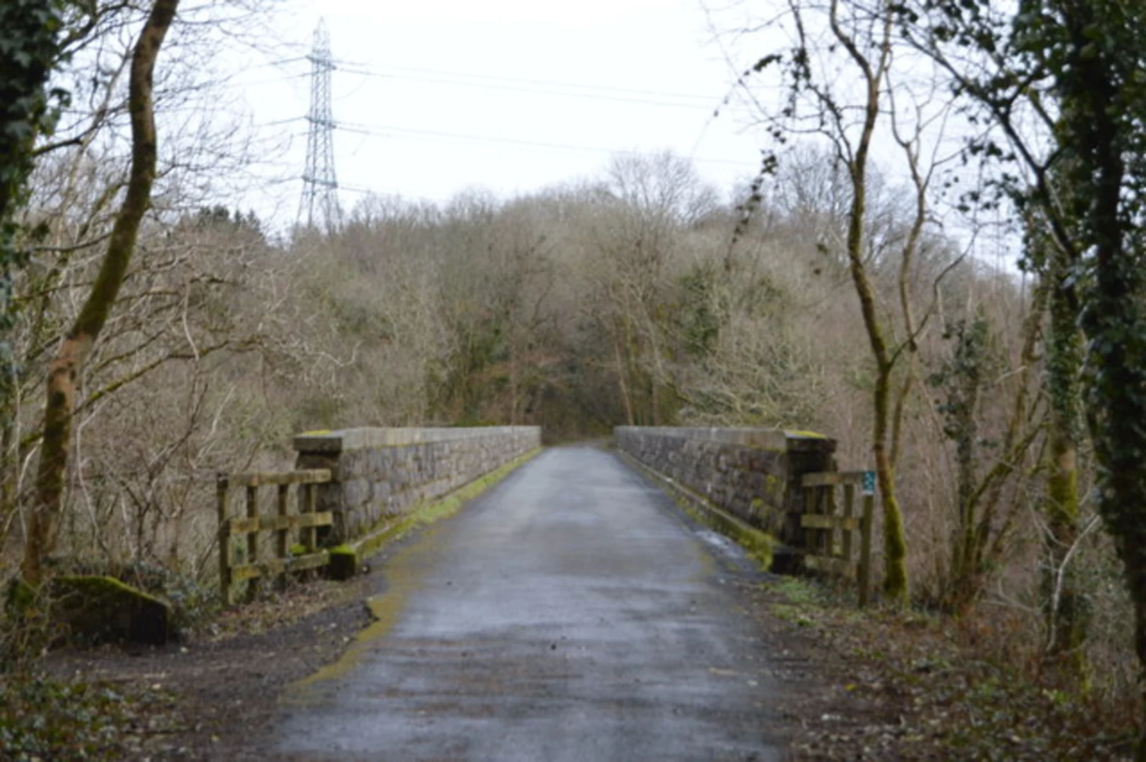 An image depicting the trail Plympton to Tavistock Walk and its surrounding area.