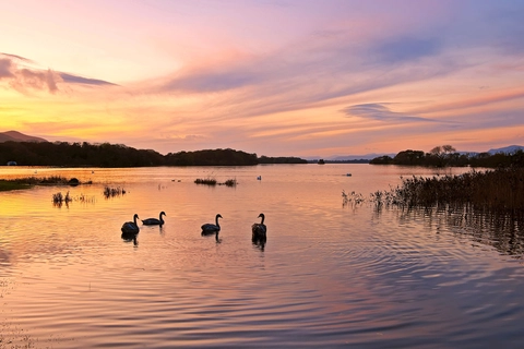 An image depicting the trail Tomies Wood and Lough Leane Circular and its surrounding area.