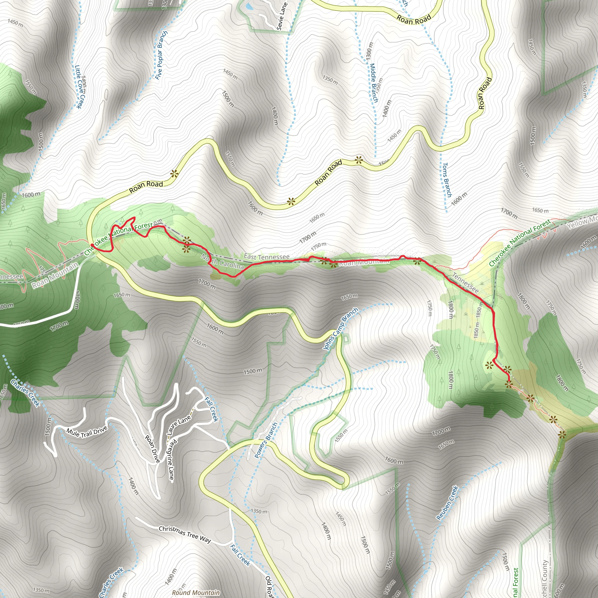 Grassy Ridge Bald via Appalachian Trail mobile static map