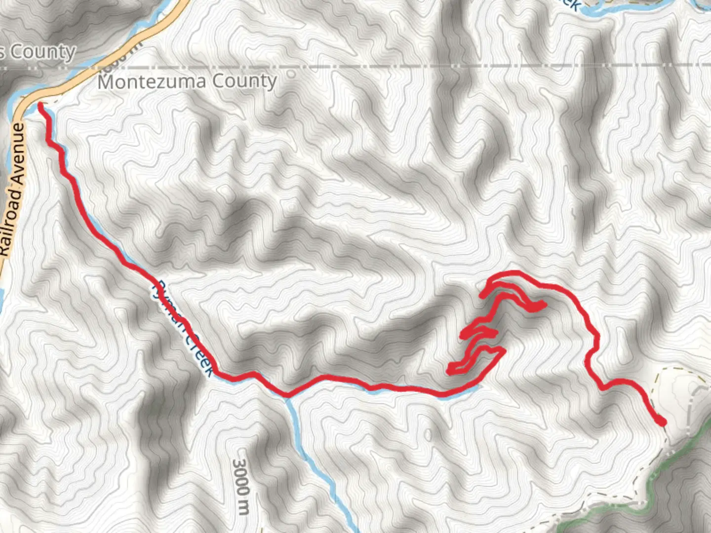 An image depicting the trail Lower Ryman Trail and its surrounding area.