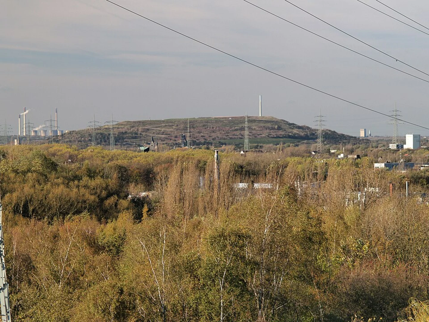 An image depicting the trail Balkon-Promenade Loop and its surrounding area.