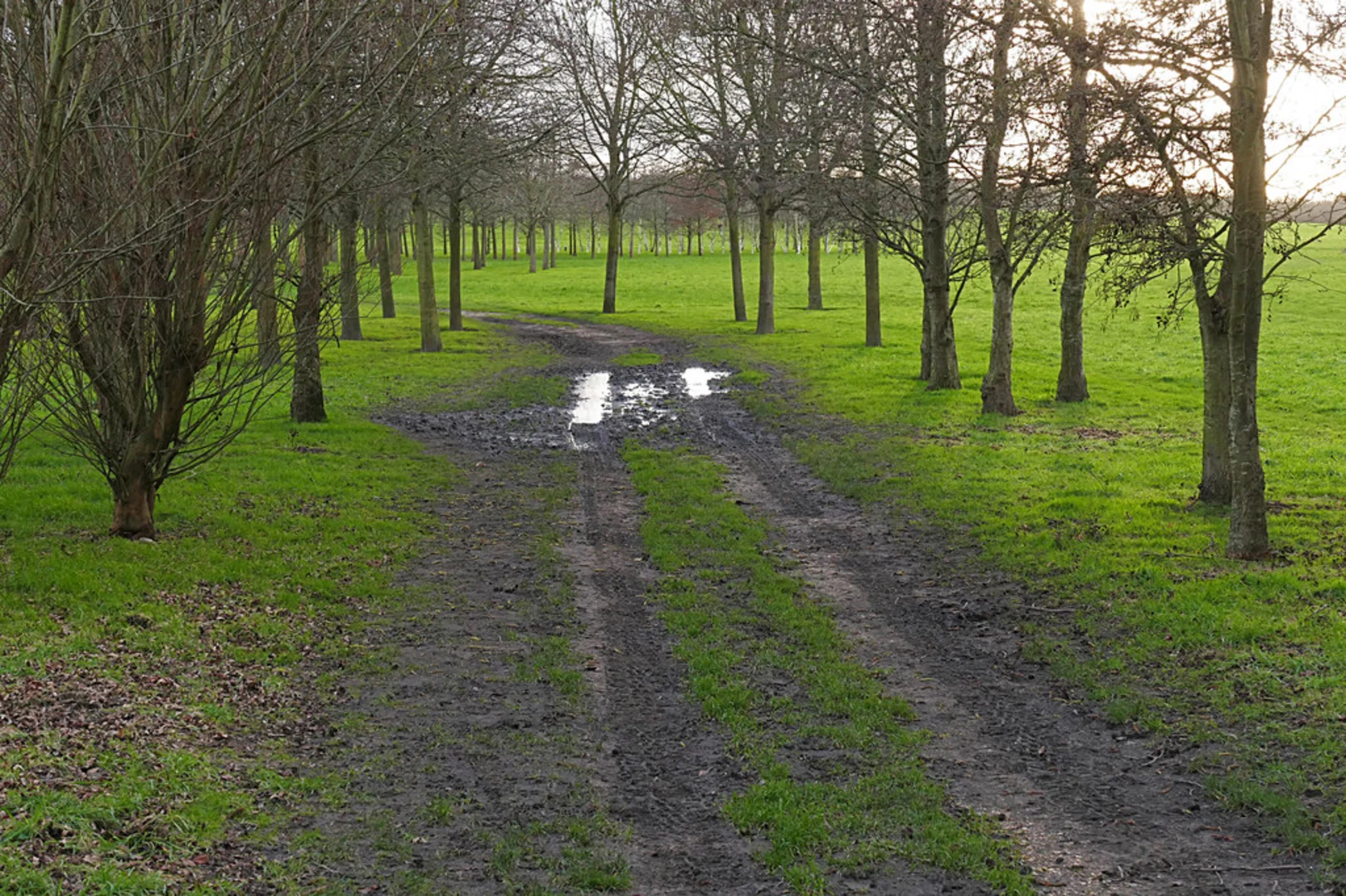 An image depicting the trail McLaren Park and Danewell Pond Loop via H G Wells Path and its surrounding area.