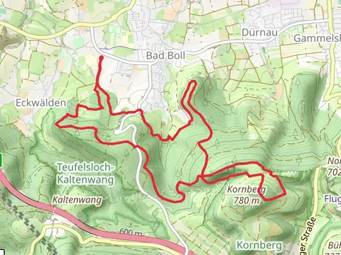 Boll-Kornberg and Loewenpfade - Berta Hoernle Tour